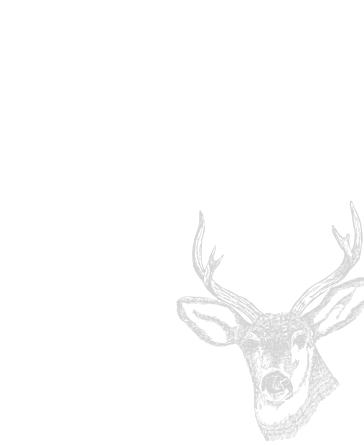 South Darley CofE Primary School photo